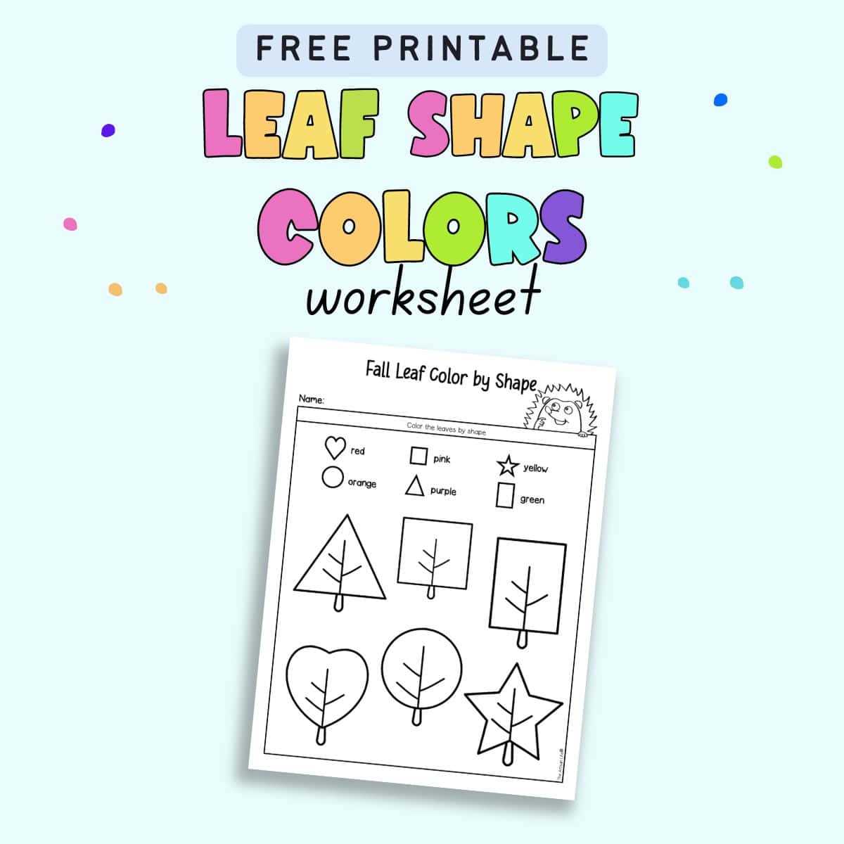 shape and color worksheet