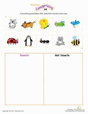 sorting preschool worksheets