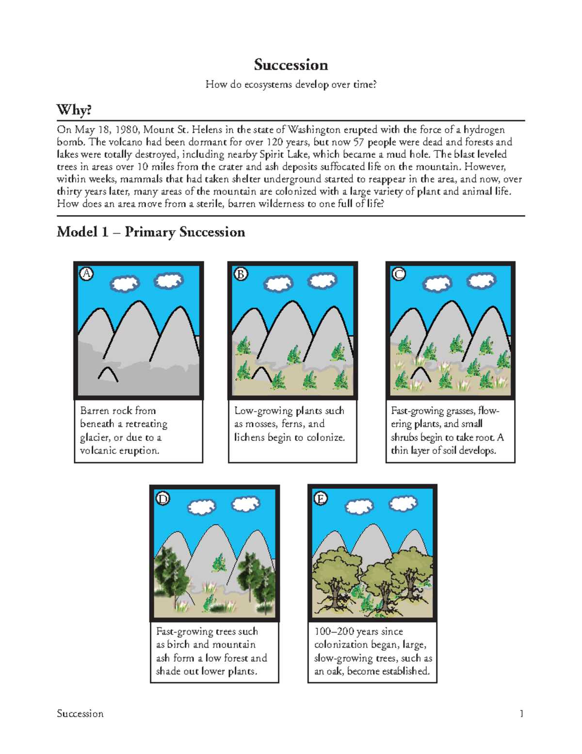 succession worksheet pogil