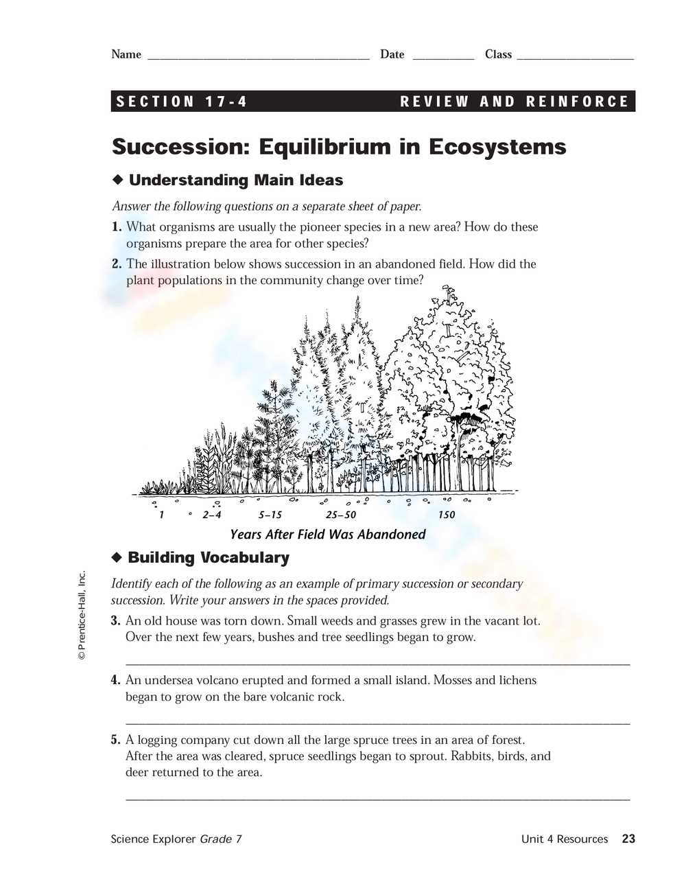succession worksheet pogil