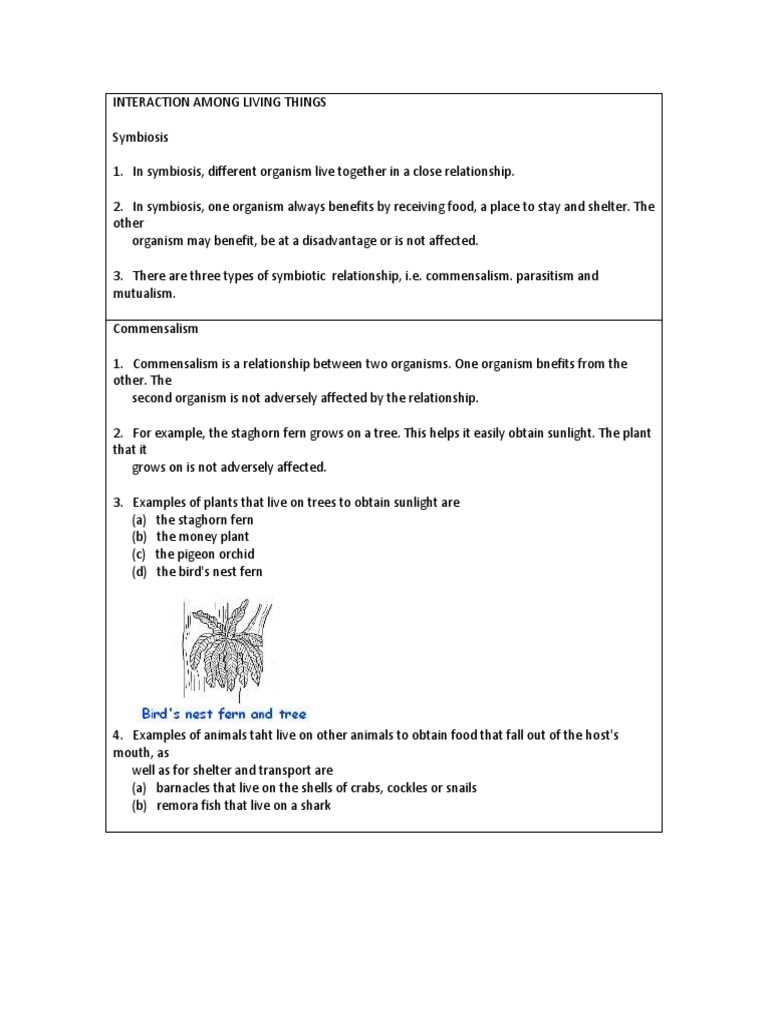 ecology/symbiotic relationships among living things worksheets
