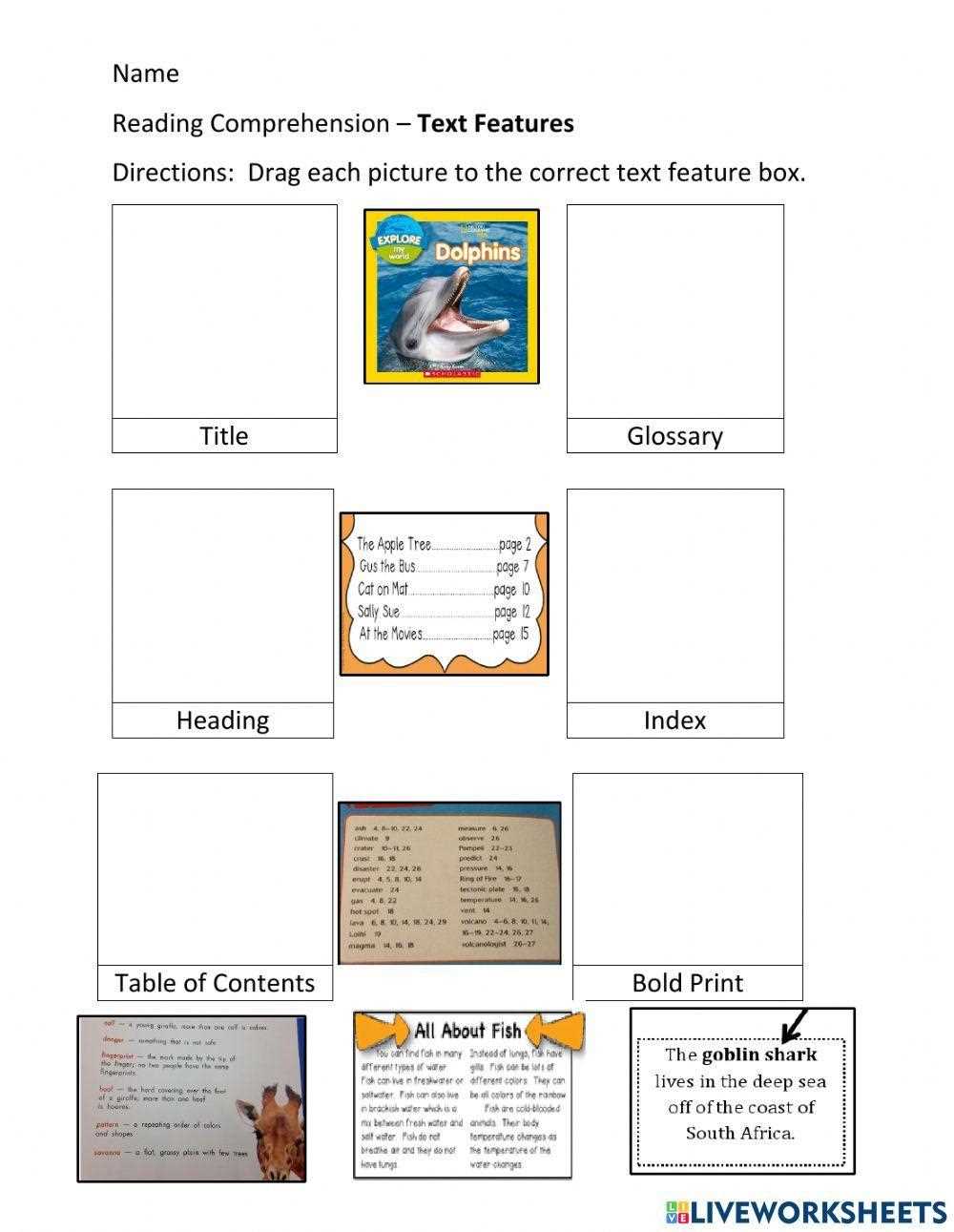 text feature worksheet