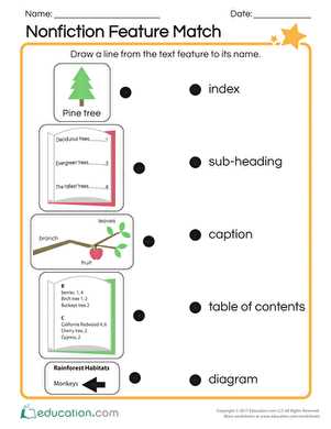 text features worksheet