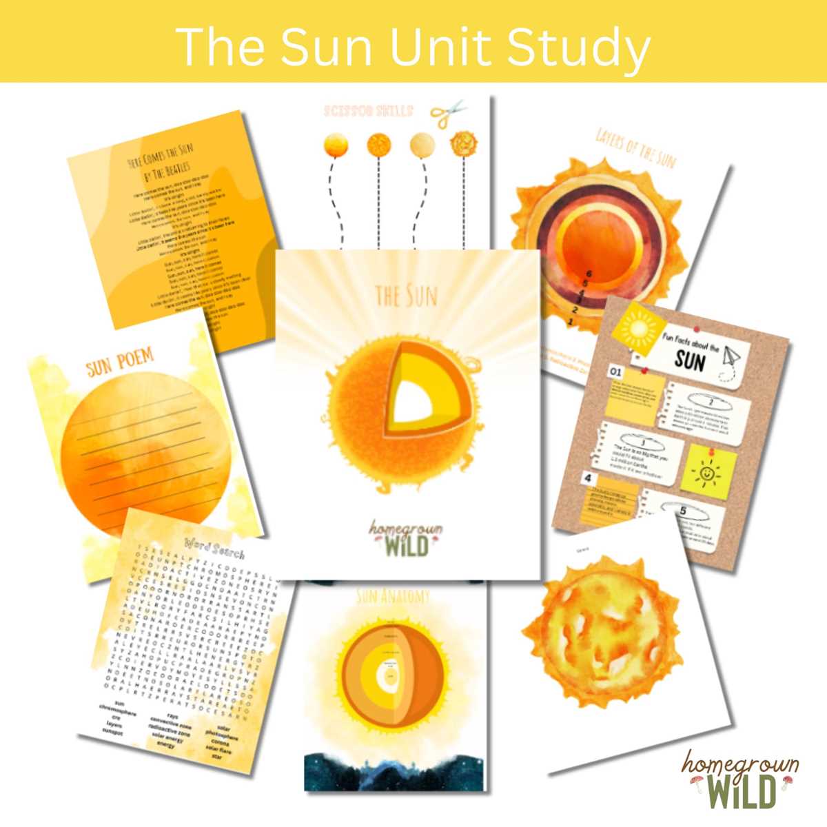 the layers of the sun worksheet