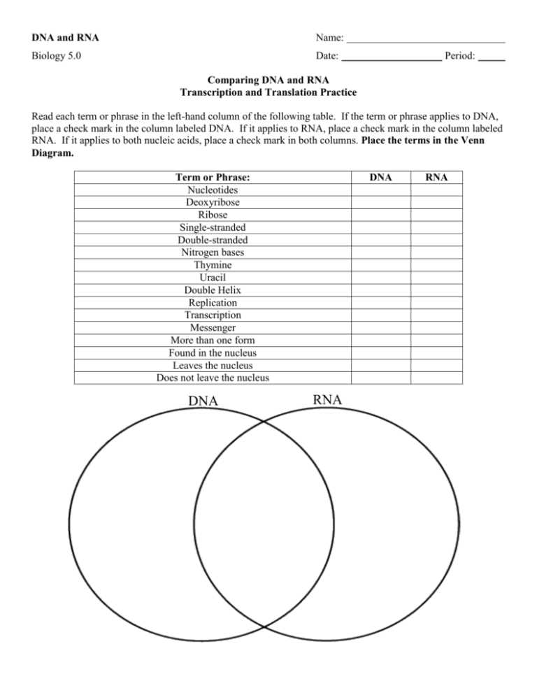 transcription and translation worksheet