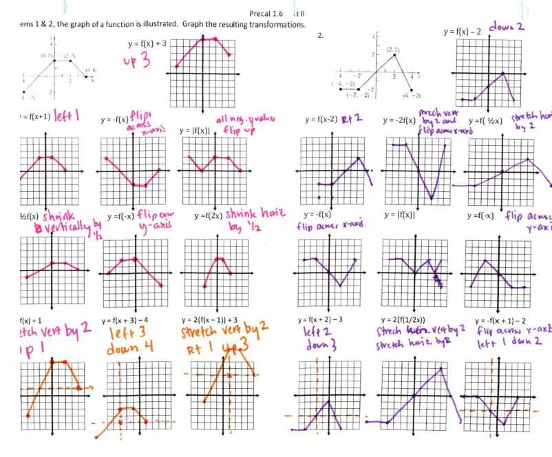 transformations of graphs worksheet