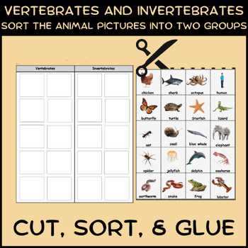 vertebrate and invertebrate animals worksheet