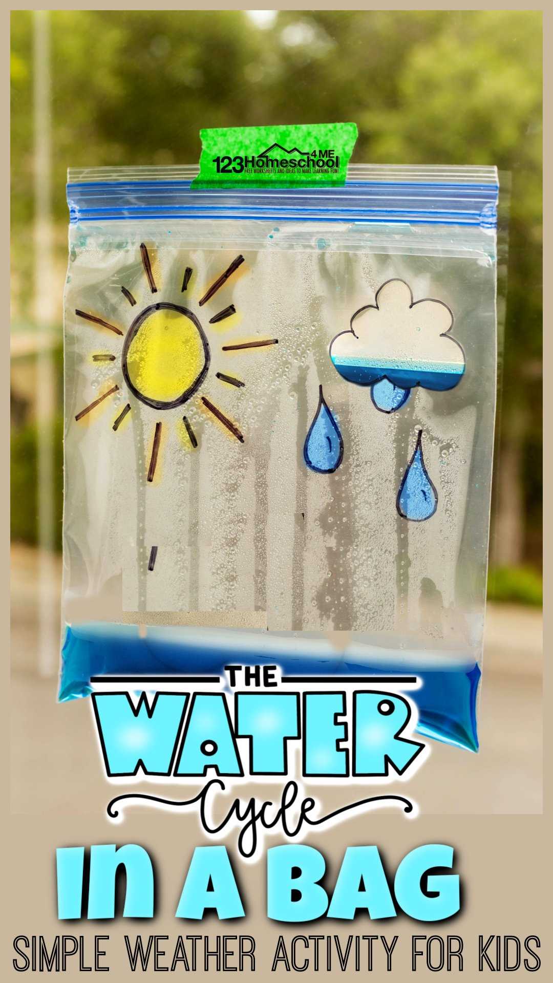water cycle worksheet