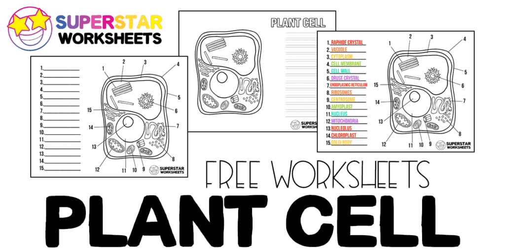 worksheet cell