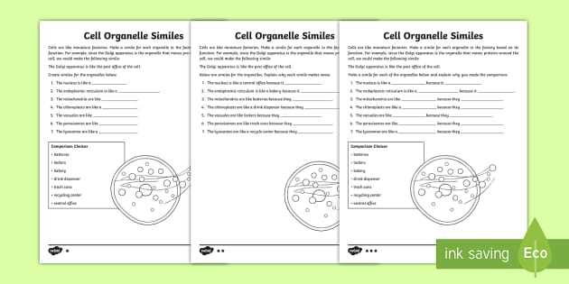 worksheet cell