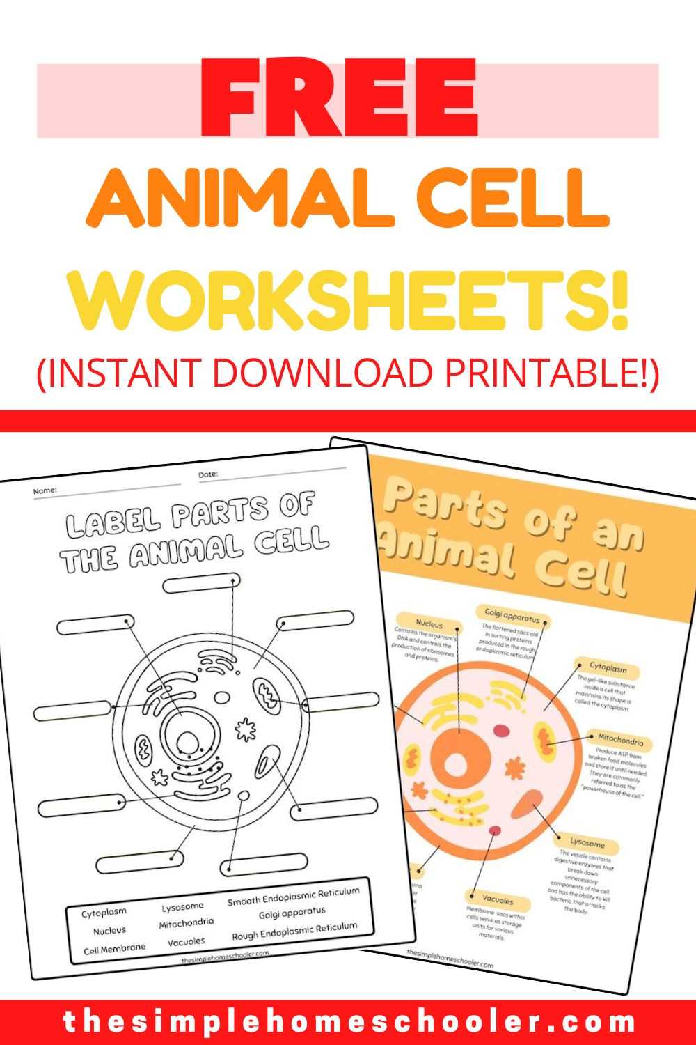 worksheet cells