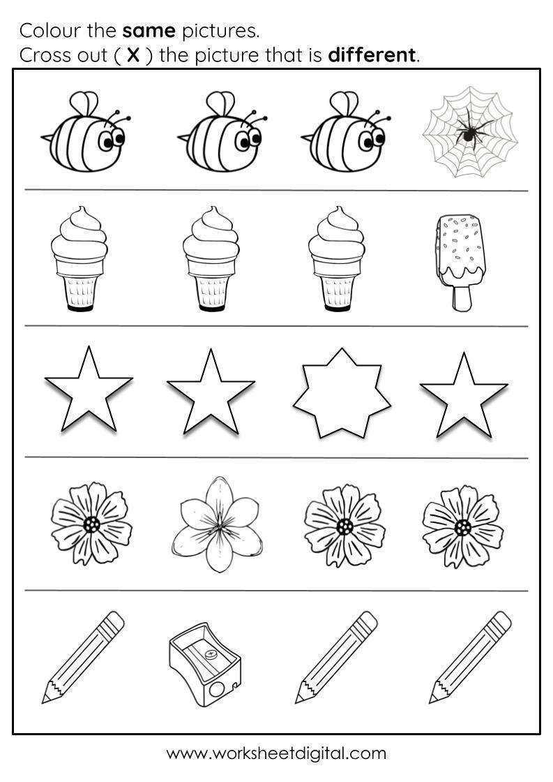 worksheet same and different