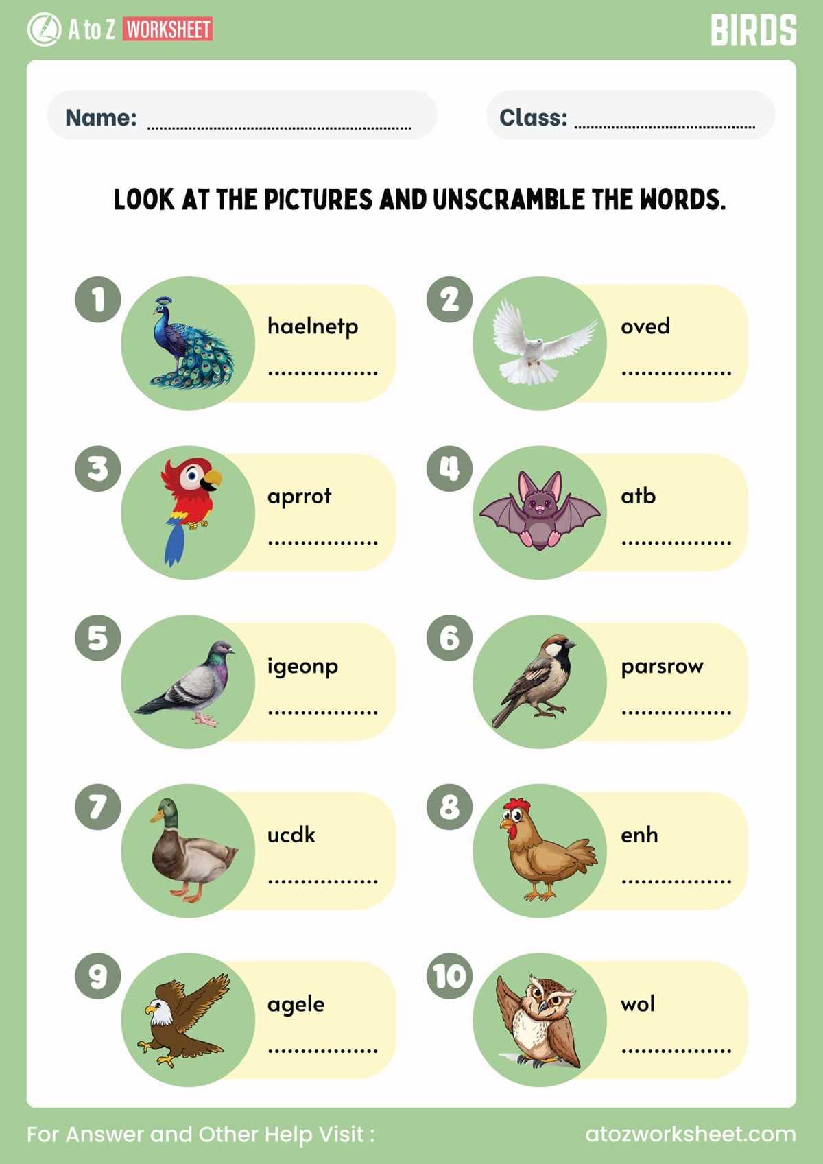 worksheets about birds