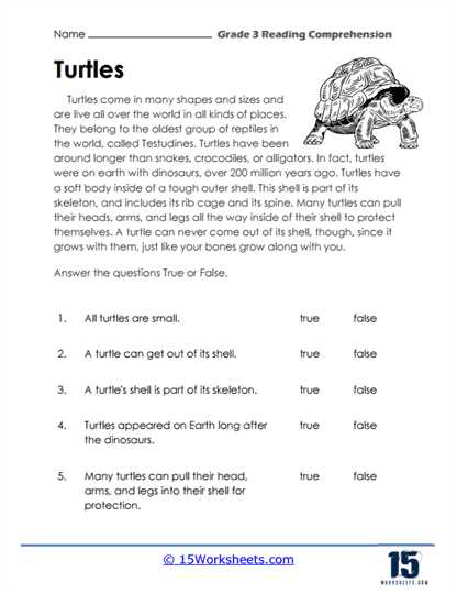 worksheets for 3rd graders reading