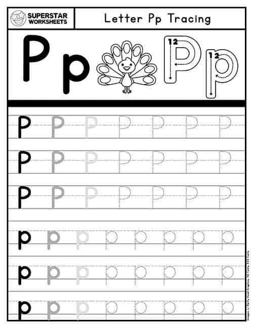 worksheets for the letter p