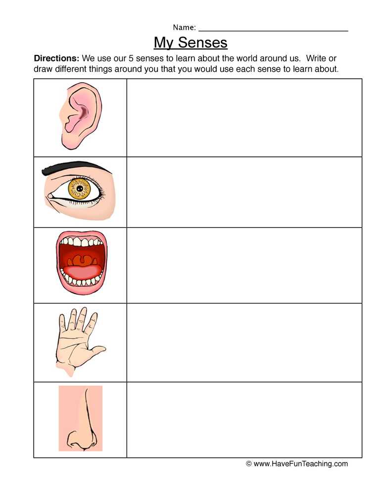 writing a worksheet