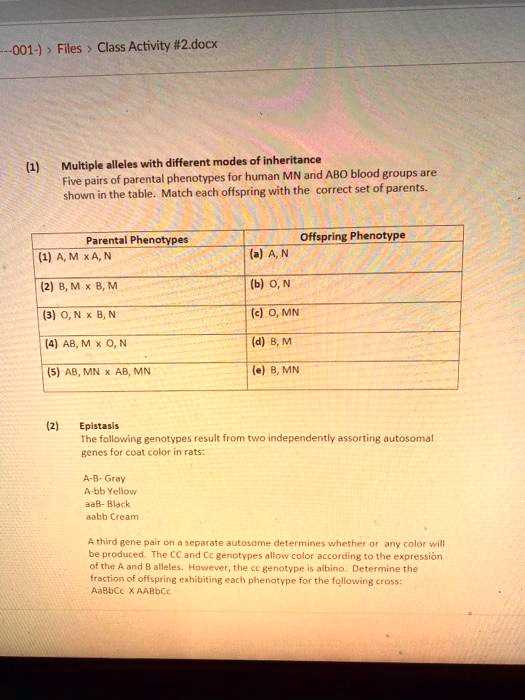 abo multiple allele worksheet