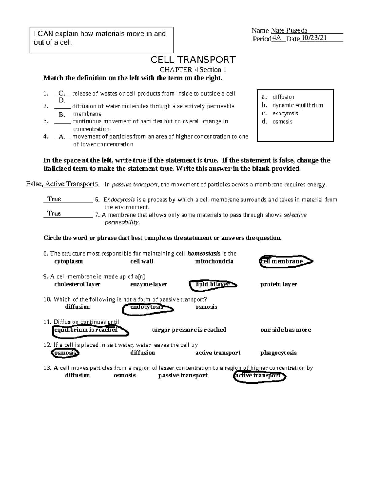 active and passive cell transport worksheet active and passive cell transport worksheet