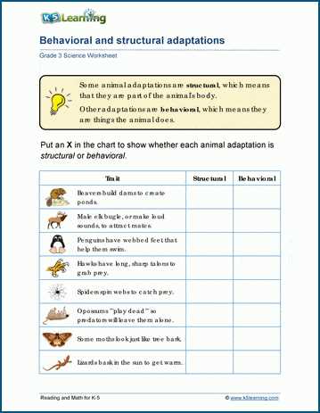 adaptation and survival worksheets adaptation and survival worksheets
