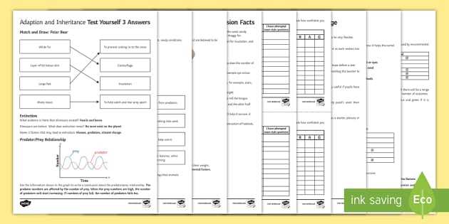 adaptation and variation worksheet