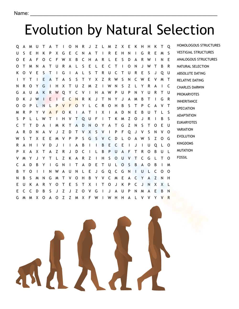 adaptation and variation worksheet