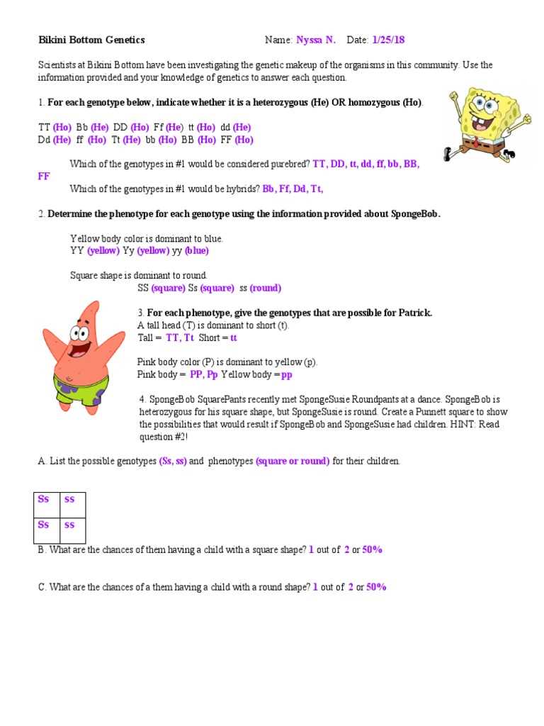 bikini bottom dihybrid cross worksheet bikini bottom dihybrid cross worksheet