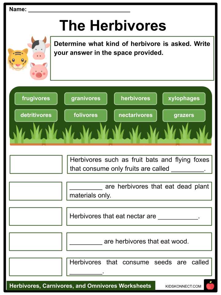 herbivore carnivore omnivore worksheet