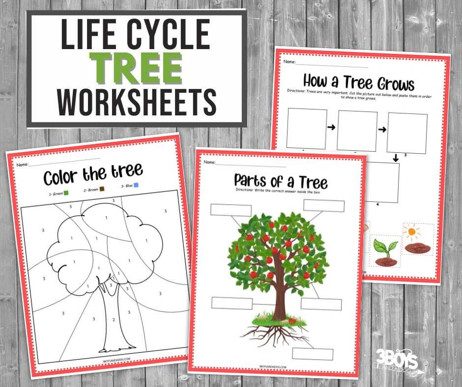 all about trees worksheet