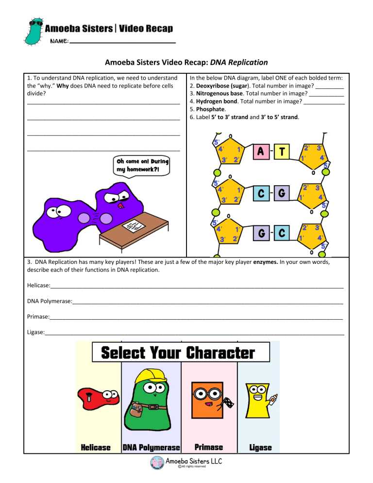amoeba sisters video recap dna replication worksheet