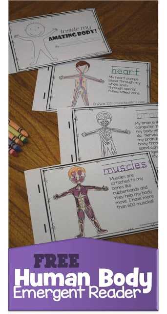 anatomy printable worksheets