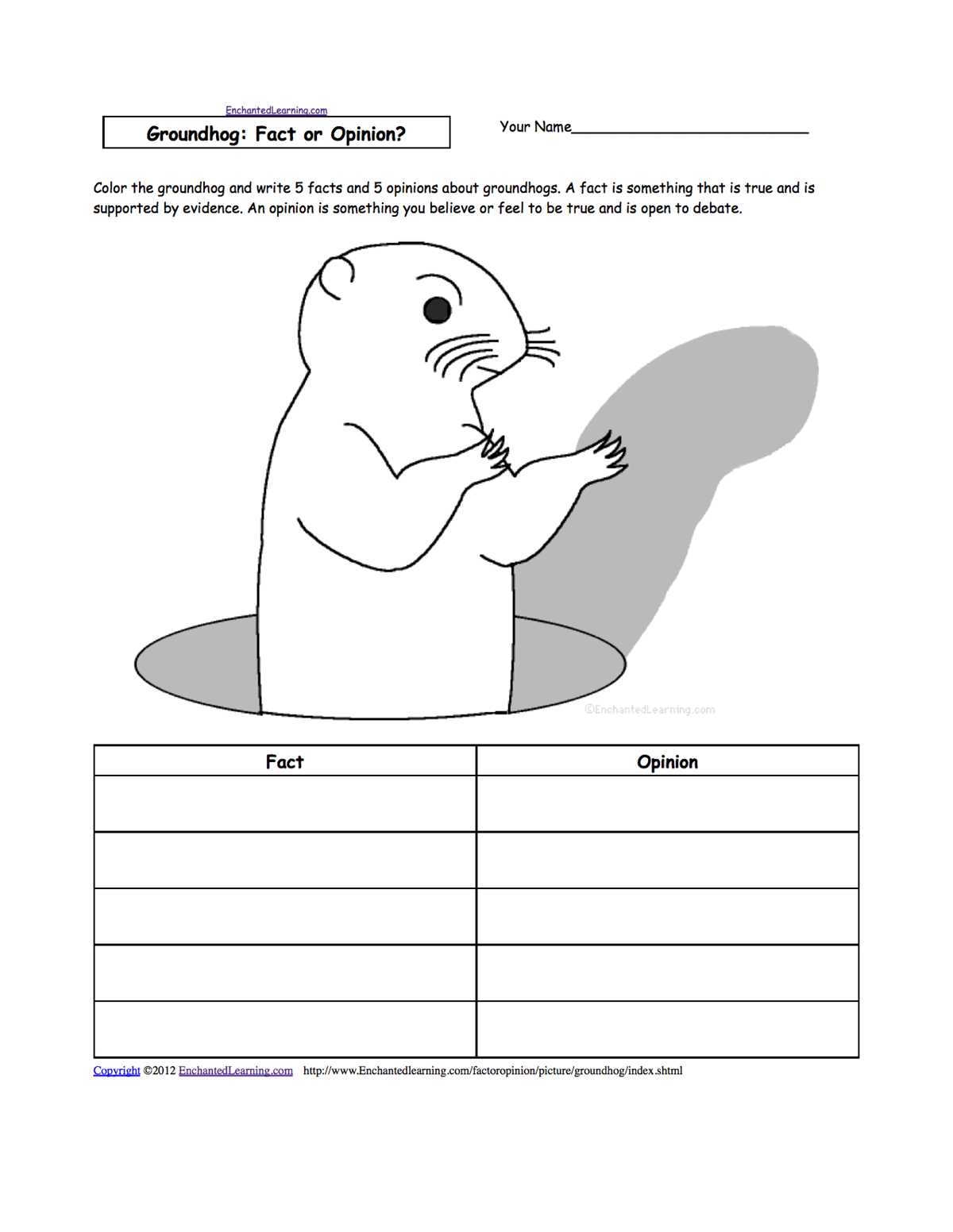 animal facts and opinions worksheet