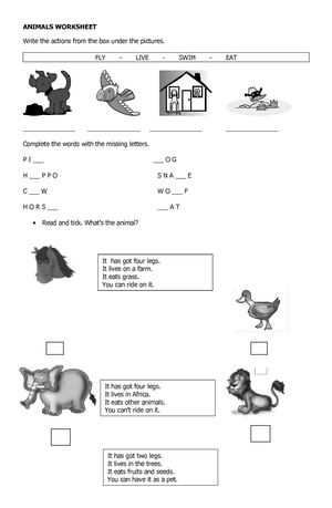 animal legs worksheet