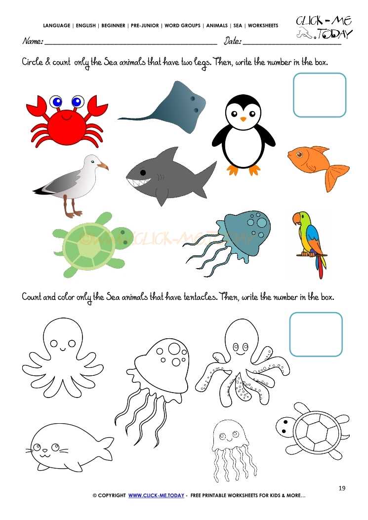 animal legs worksheet