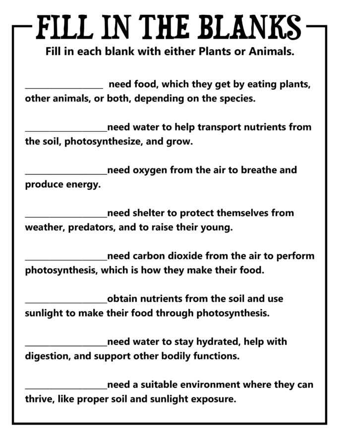animal needs worksheet