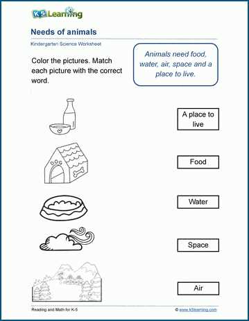 animal needs worksheet
