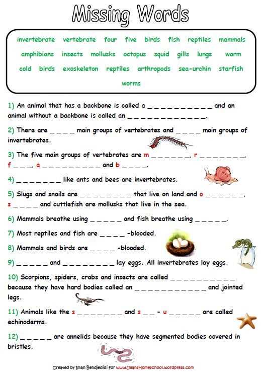 animal taxonomy worksheets