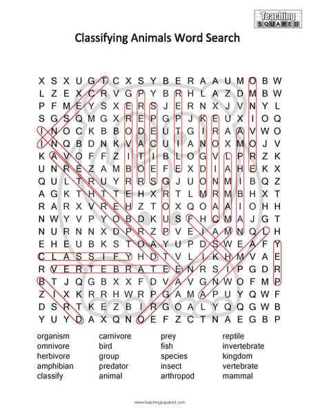 animal word search worksheet