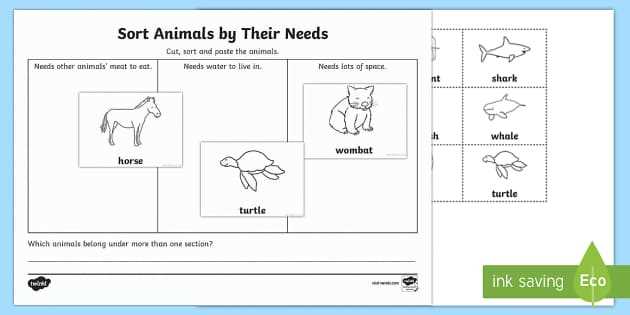 animals and their needs worksheet