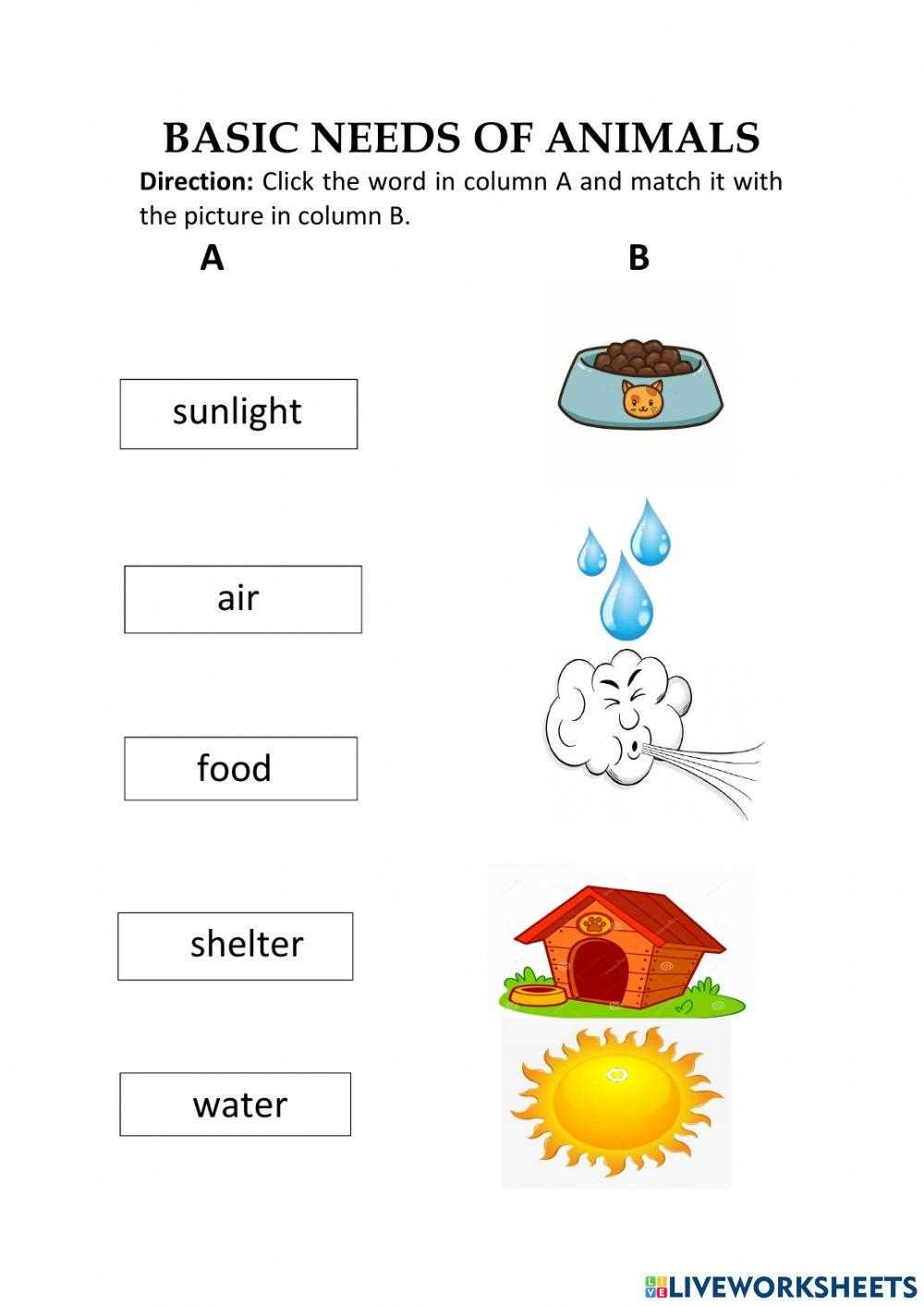 animals and their needs worksheet