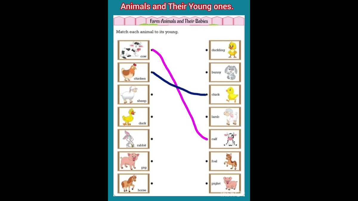 animals and their young ones worksheet for kindergarten