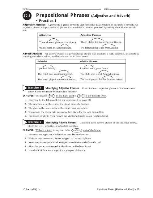 appositive practice worksheet