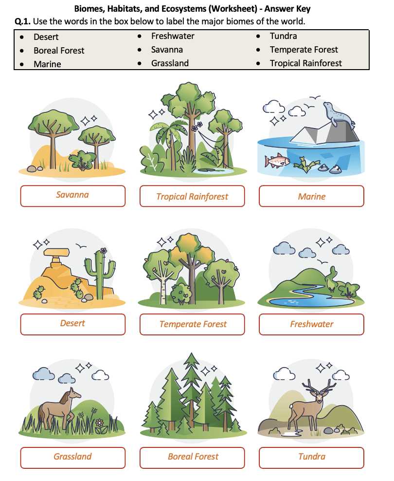 aquatic ecosystems and biomes worksheet
