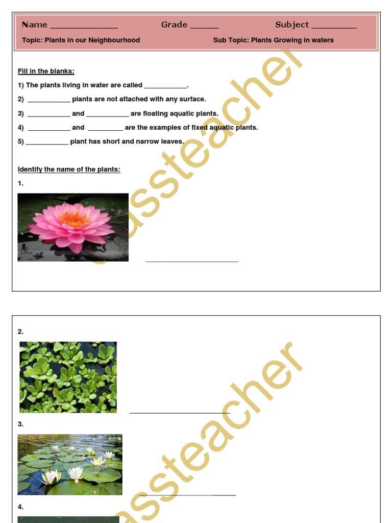 aquatic plants worksheet