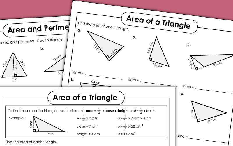 area of the triangle worksheet