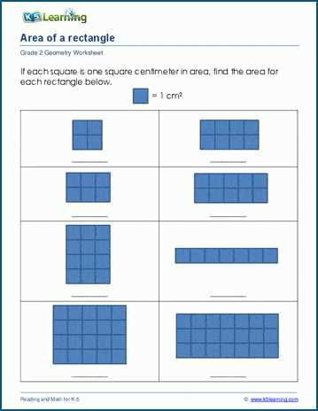 areas of rectangles worksheet