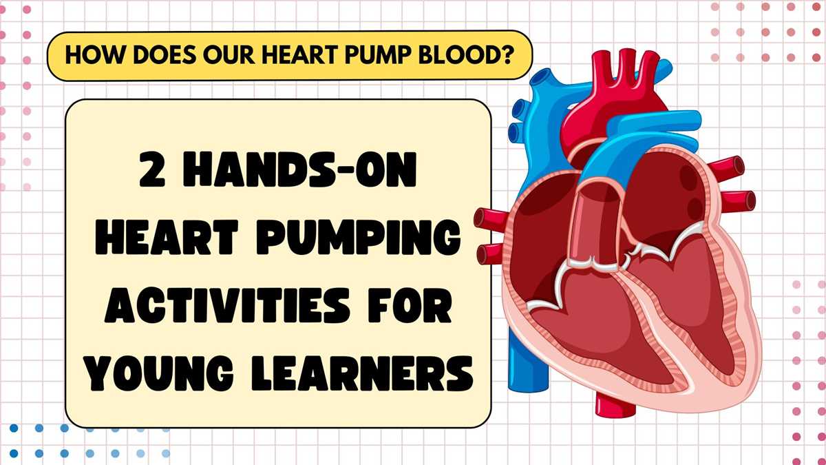 as the heart pumps worksheet