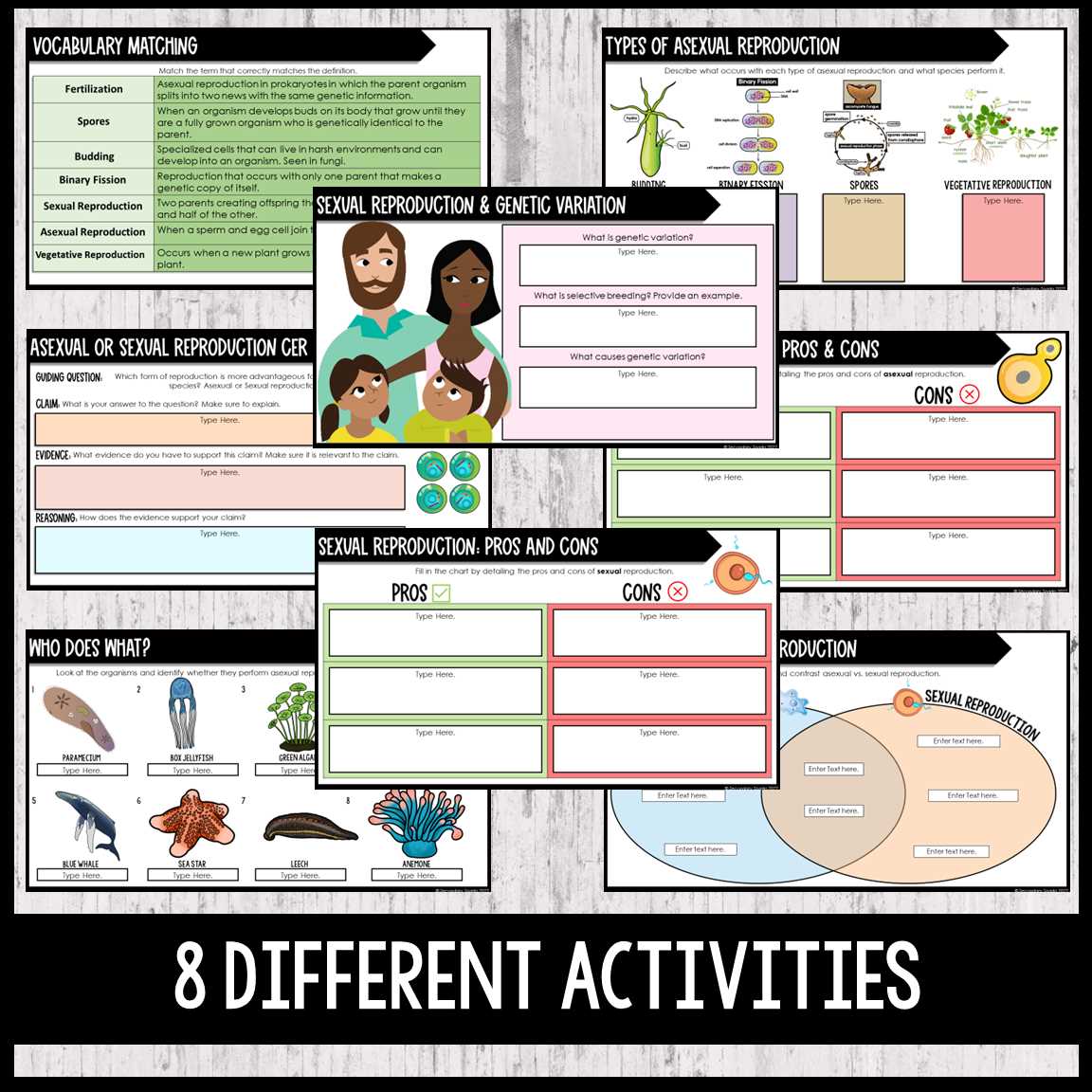 asexual sexual reproduction worksheet