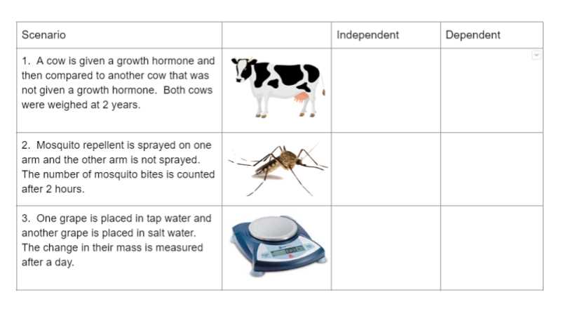finding the independent and dependent variables worksheet