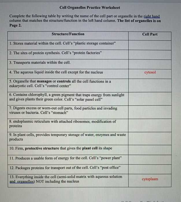 cell organelles notes worksheet