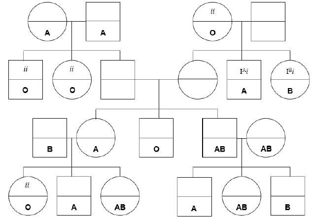 autosomal recessive inheritance worksheet